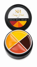 Load image into Gallery viewer, Solid nail gel 4g ( 4 colors cada embace ) lo