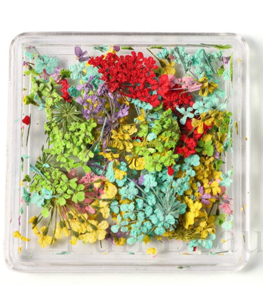 Dry flowers 4 modelos
