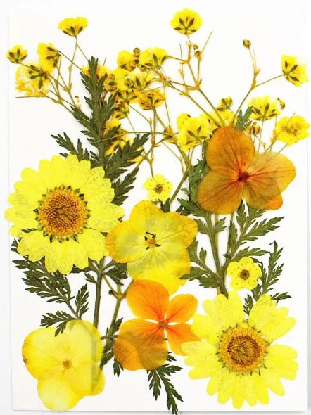 Dry Nail Flowers